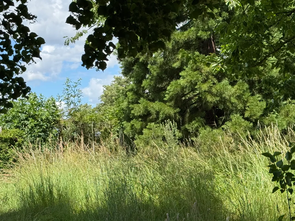 Aussicht vom Zelt