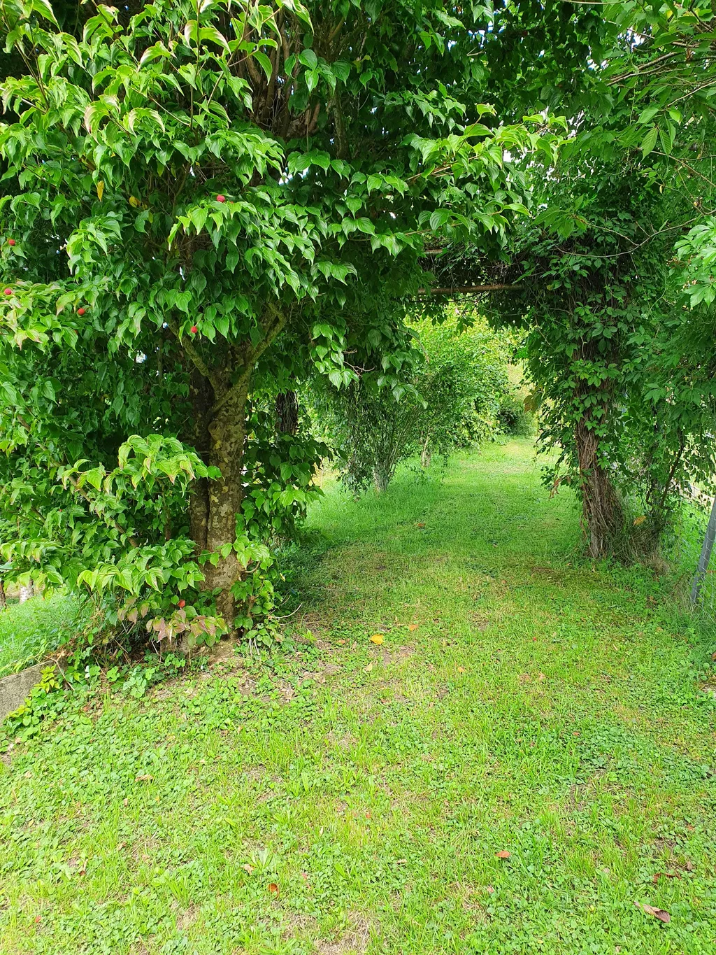 Zelten auf dem Bühl