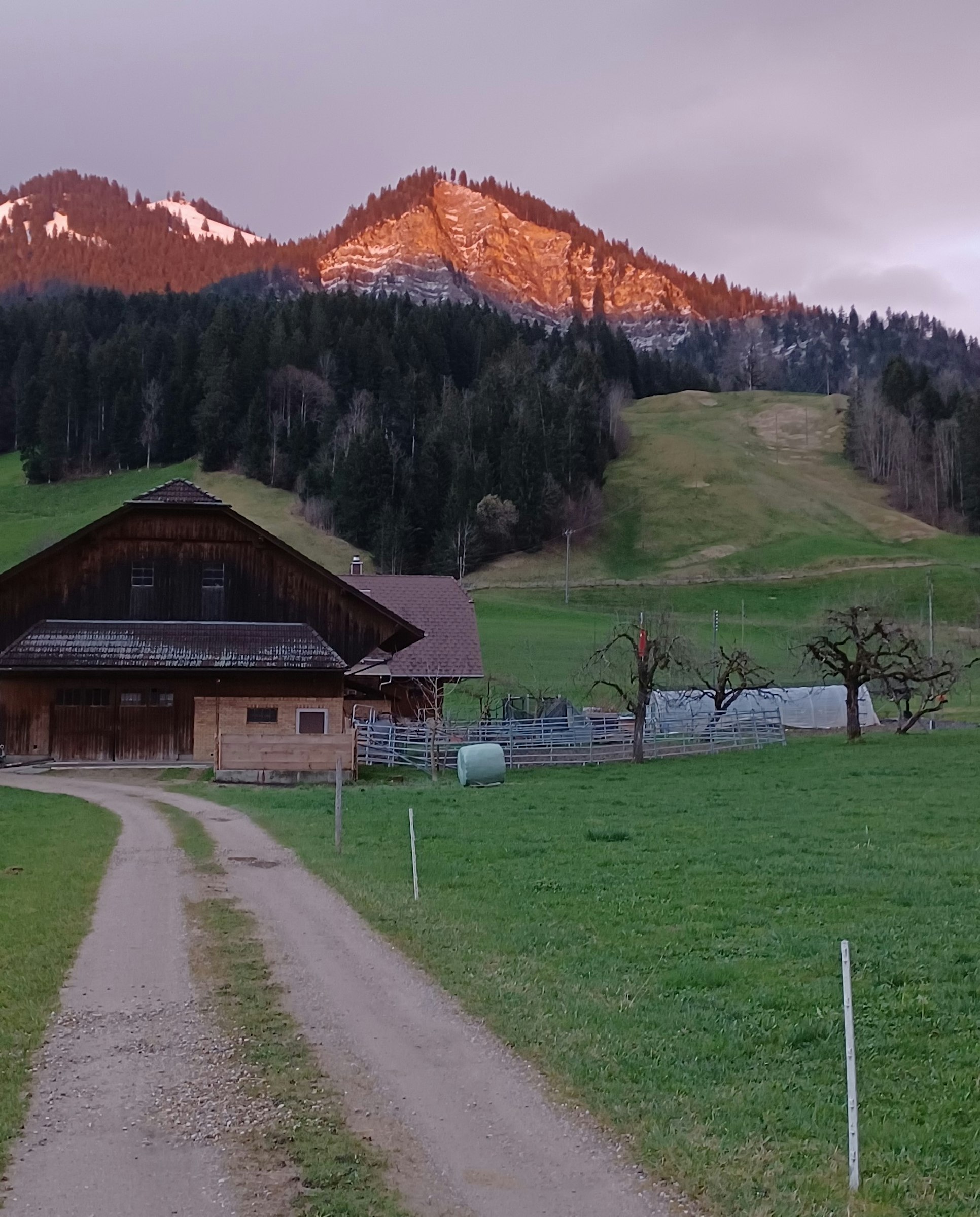 Zwischen Bach und Bauernhof.