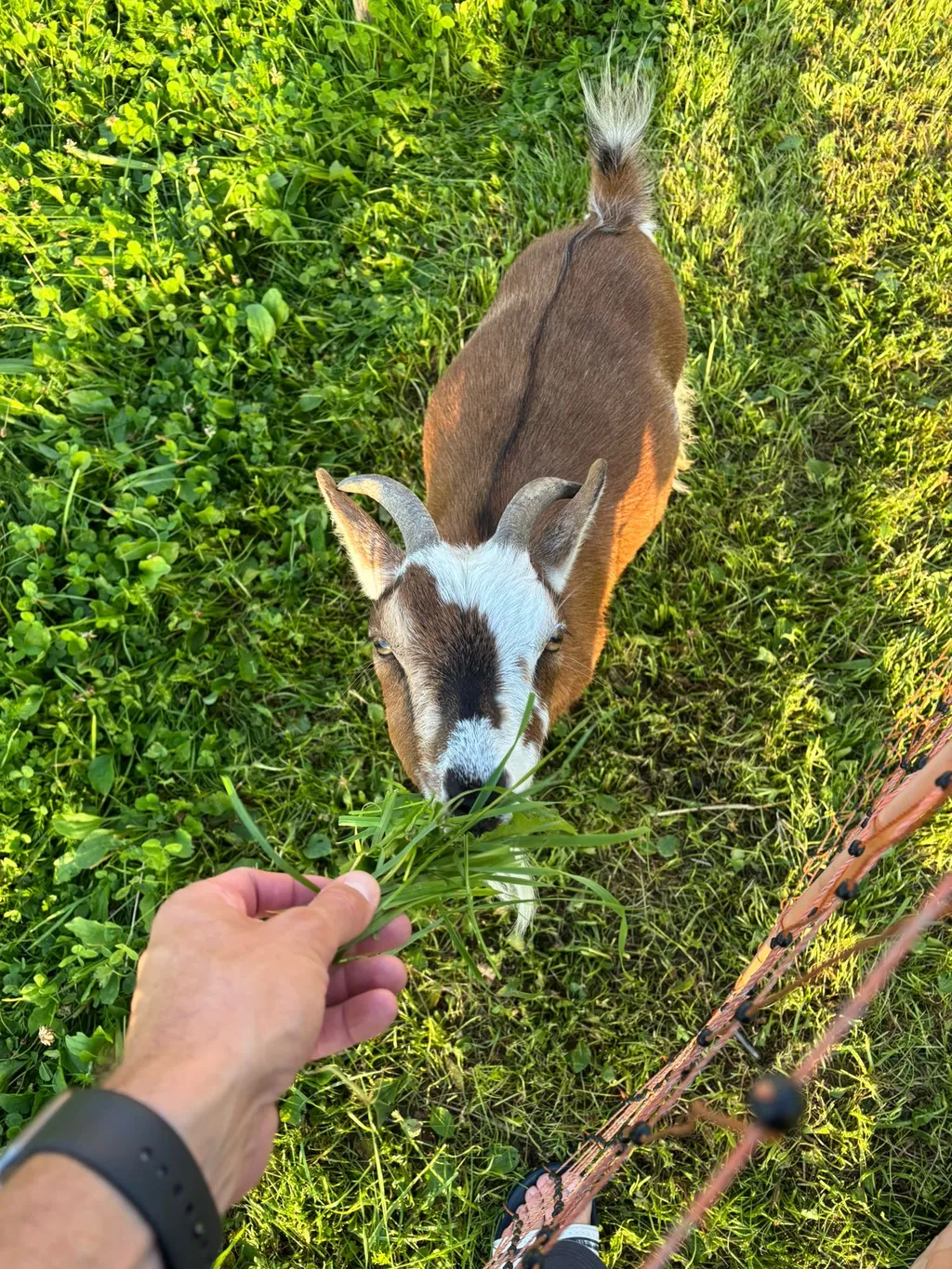 Bild von Jannike für den Spot 1753