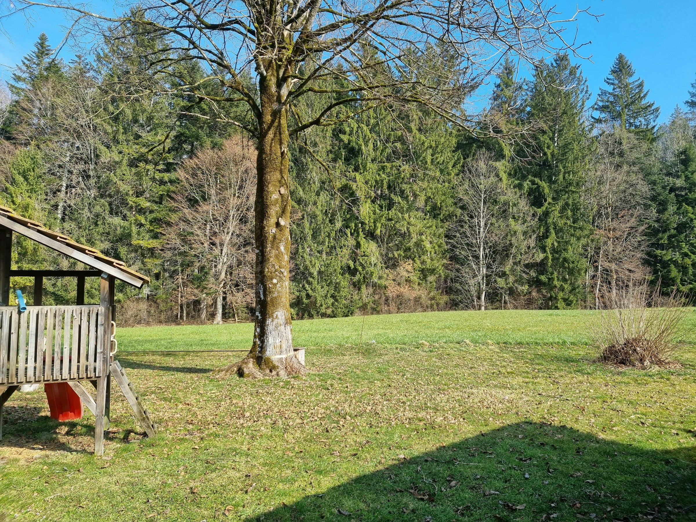 Schachen-Camp in Schüpbach