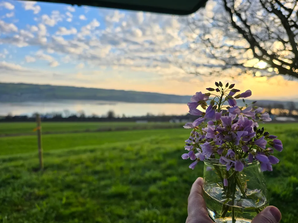 Bild von Andrea für den Spot 279