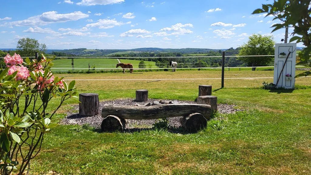 Die urige Feuerstelle mit Sitzmöglichkeiten.