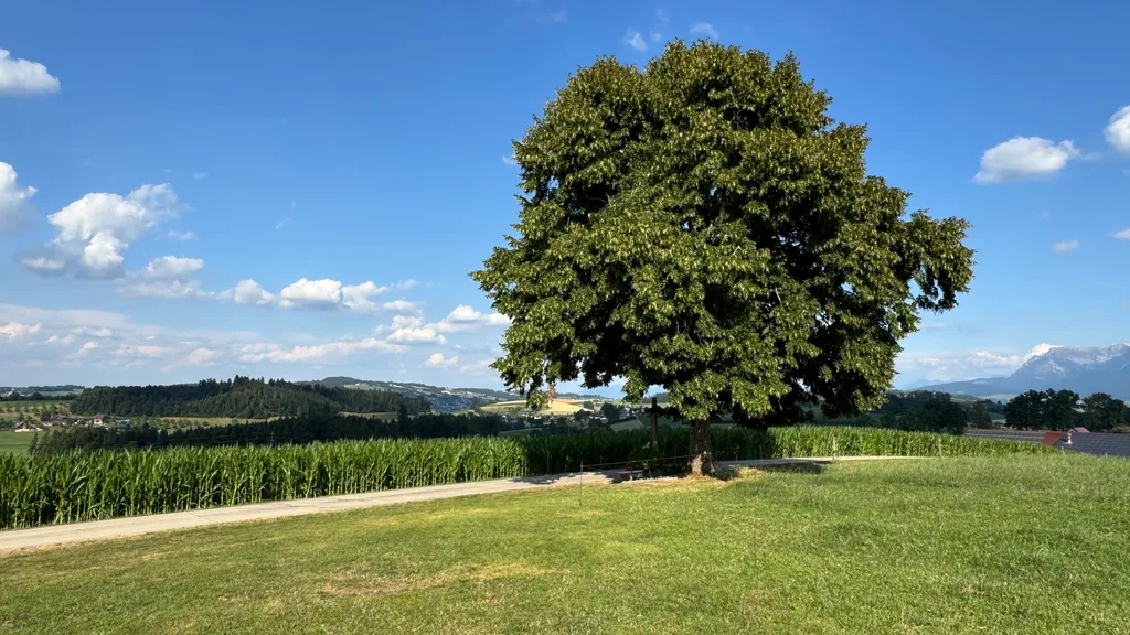 Bild von Markus für den Spot 360