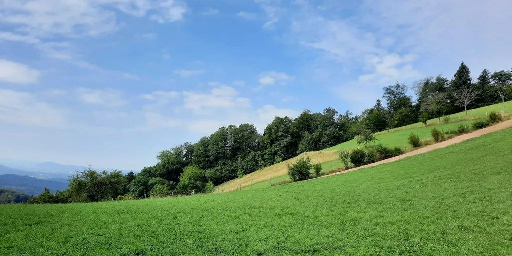 Naturbaden mit Blick auf Freiburg