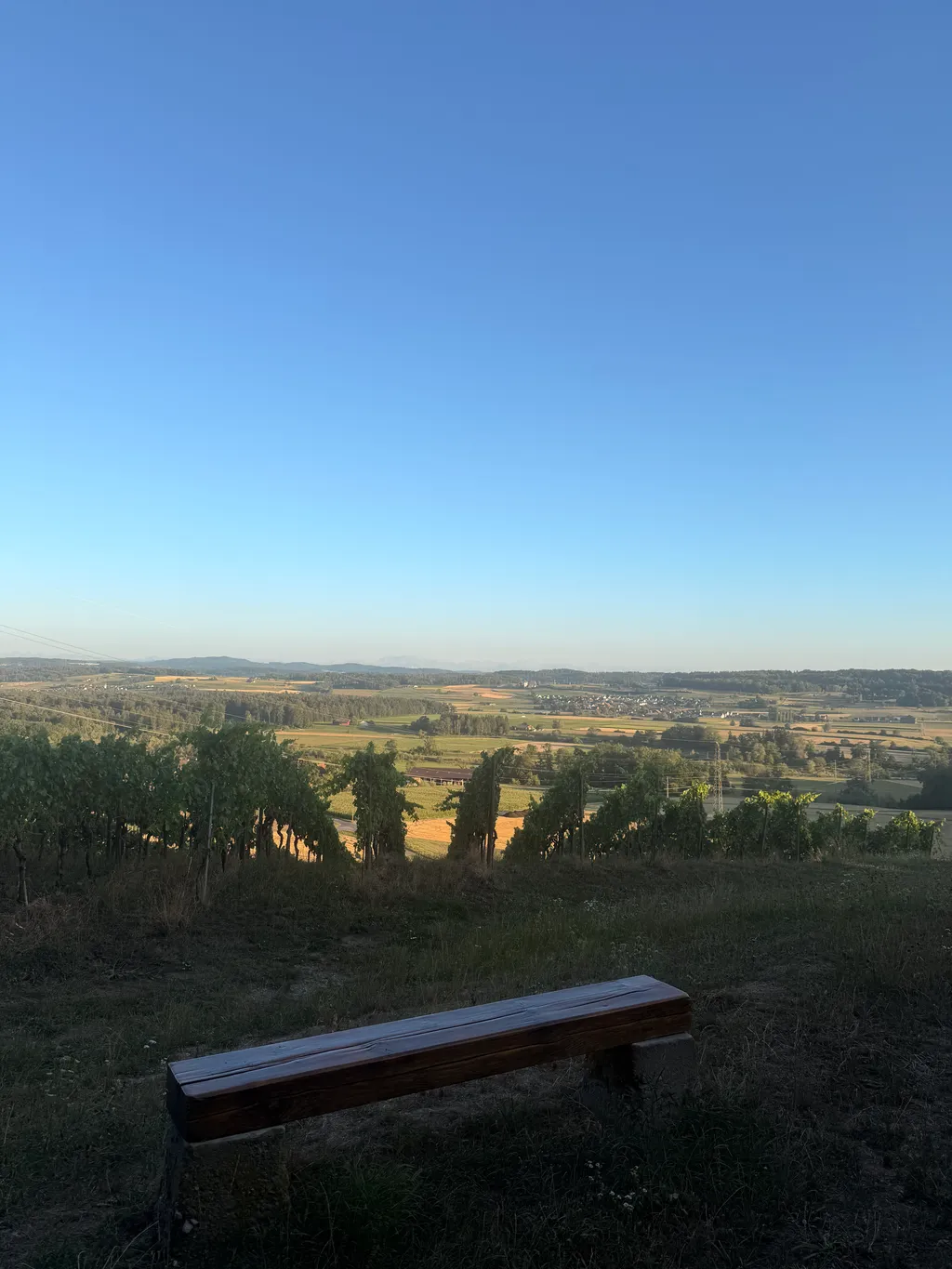Traumhafte Aussicht in mitten des Rebberges