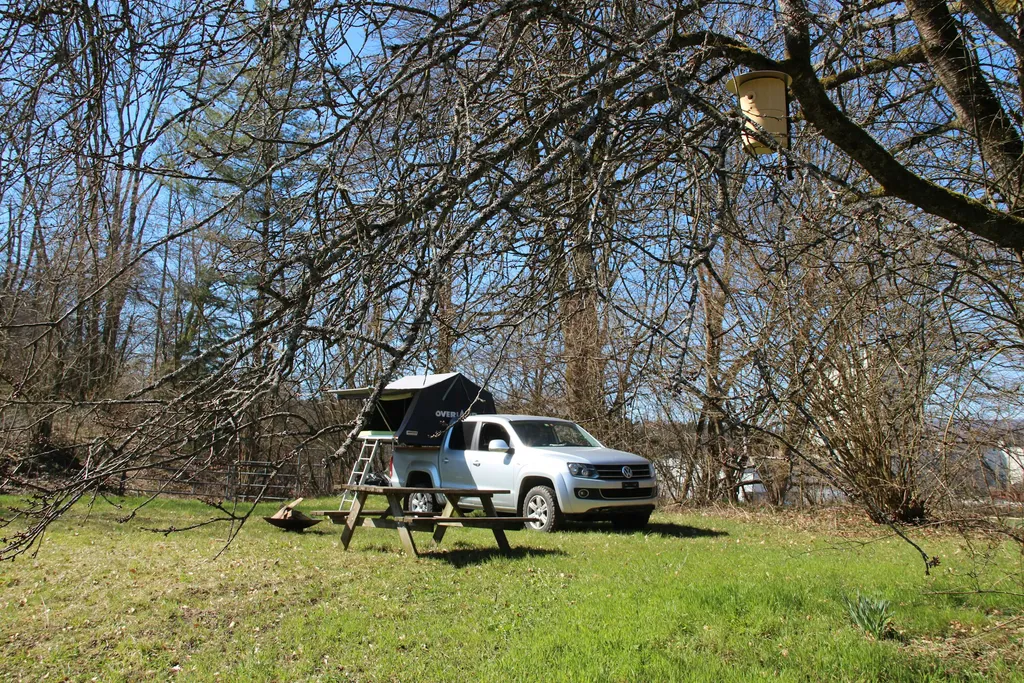 Kiltberg, "Chirschboum":