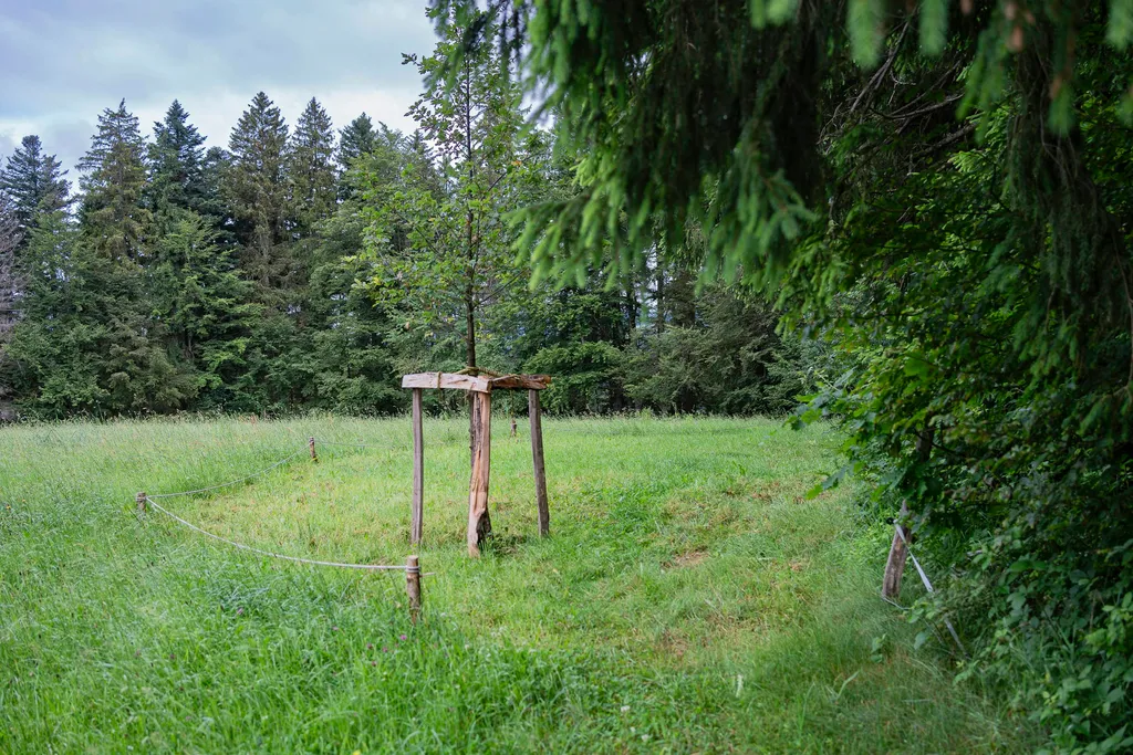 Schweizerhütte - Bergweide