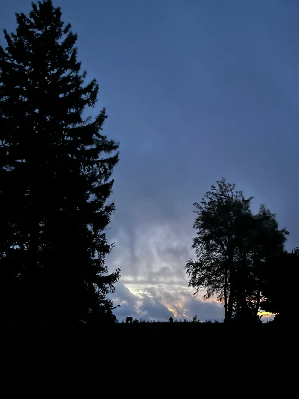 Bild von Philipp für den Spot 1529