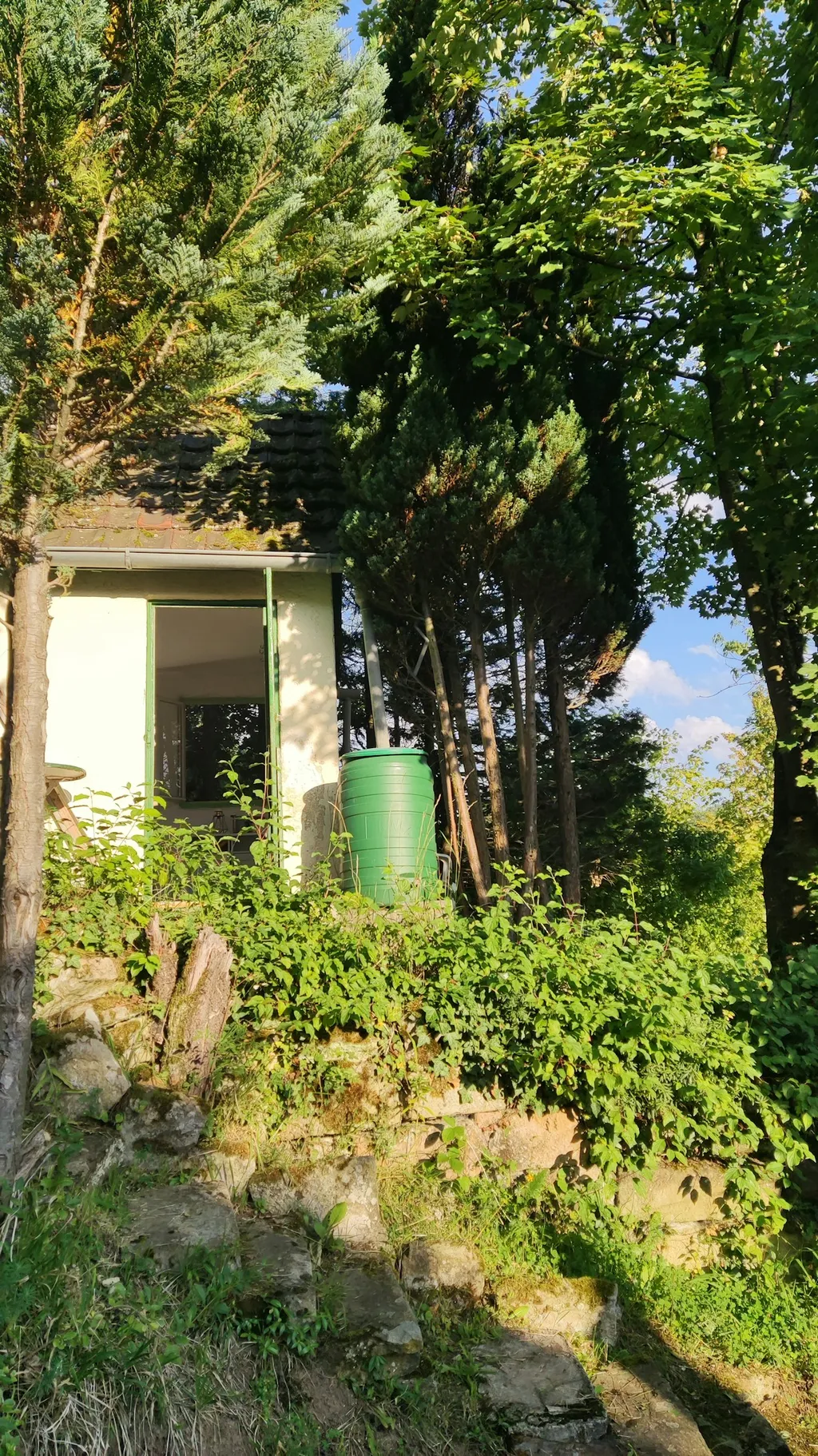 Urige Hütte mit tollem Weitblick