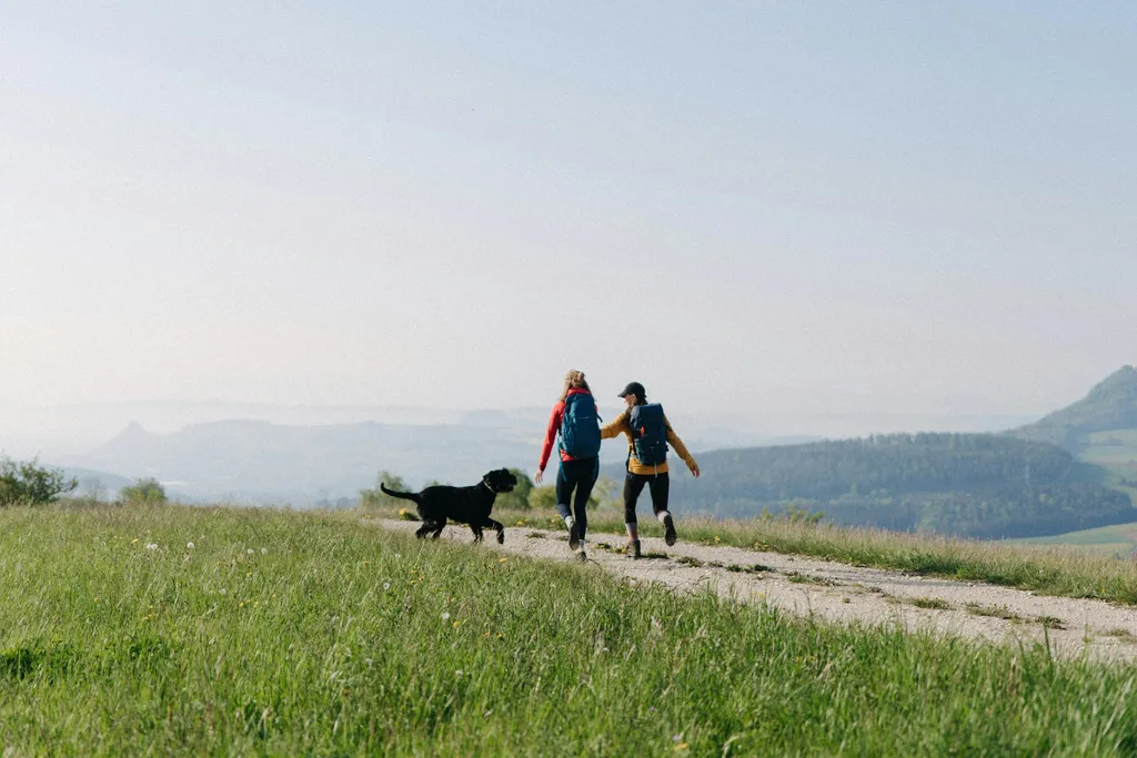 Panoramablick in Einzellage