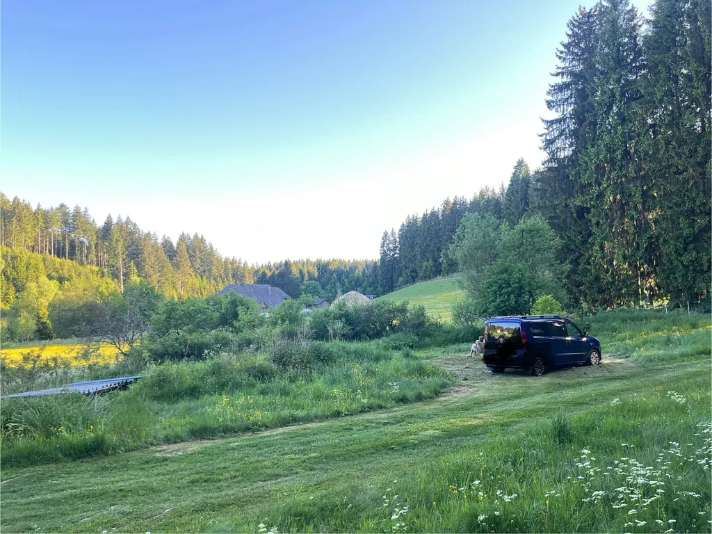 Verschnufplätzle mit Schlehenblick