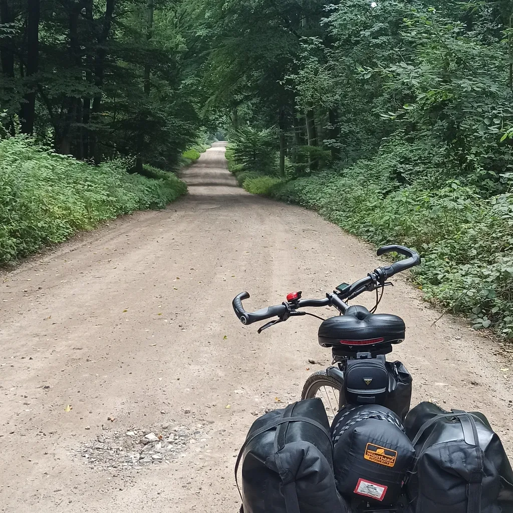 Profilbild von Jacek