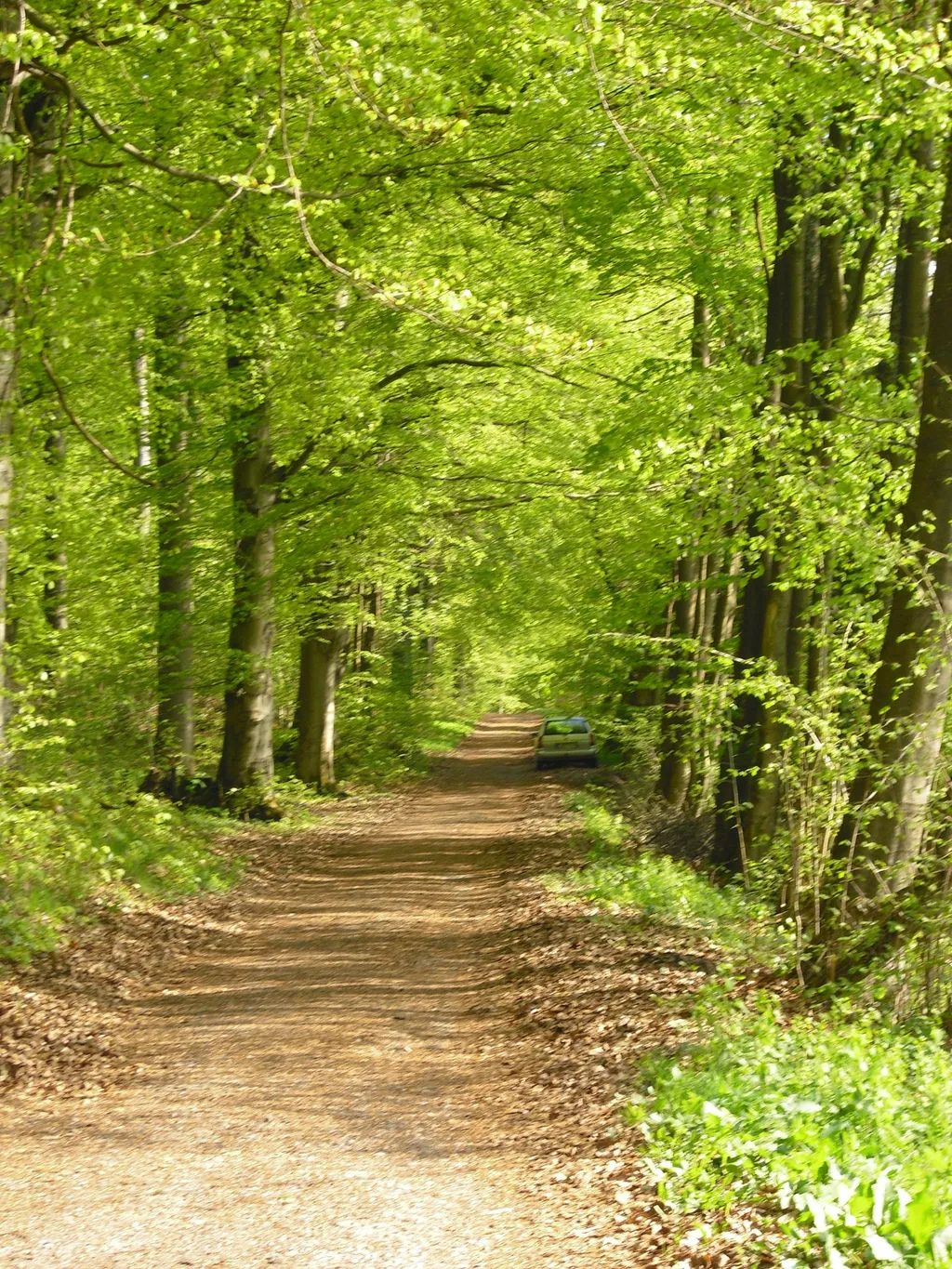 Stellplatz an Wanderroute und Höhle