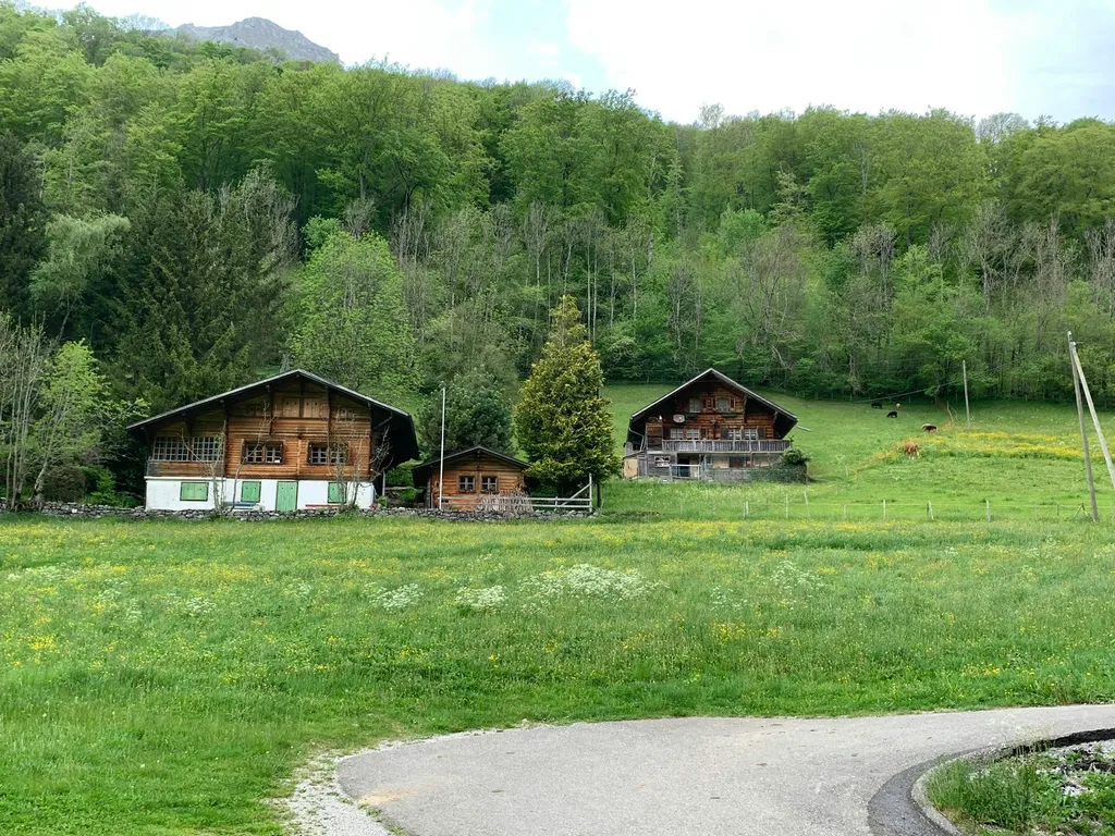 Eichmatte im Jauntal