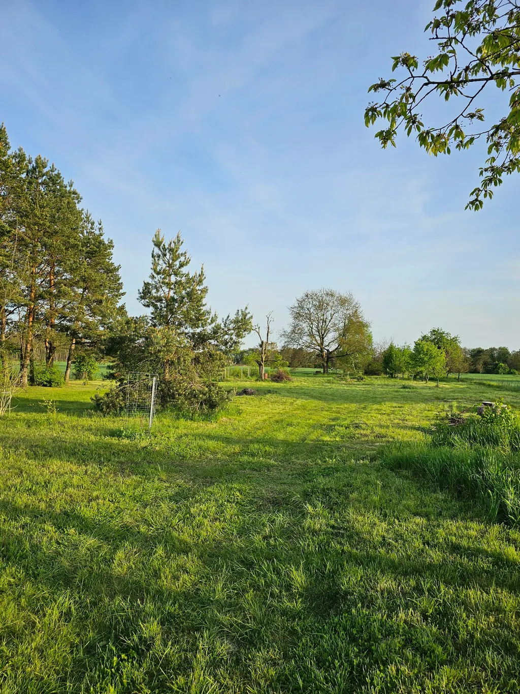 Wiese am Trinkwasserschutzgebiet