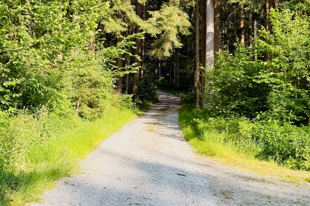 Bild von Susa für den Spot 3226