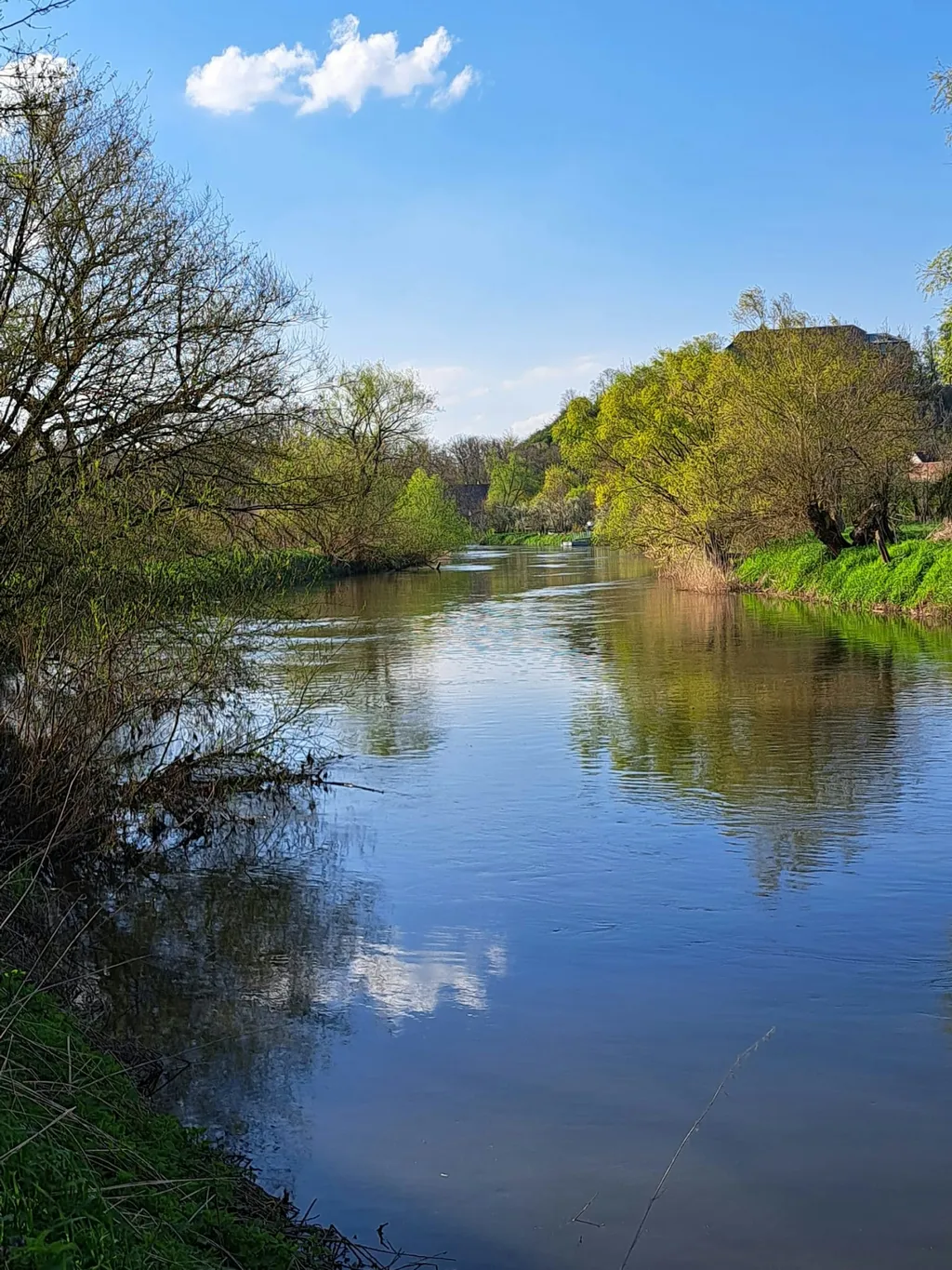 Stellplatz unter Kirschbäumen