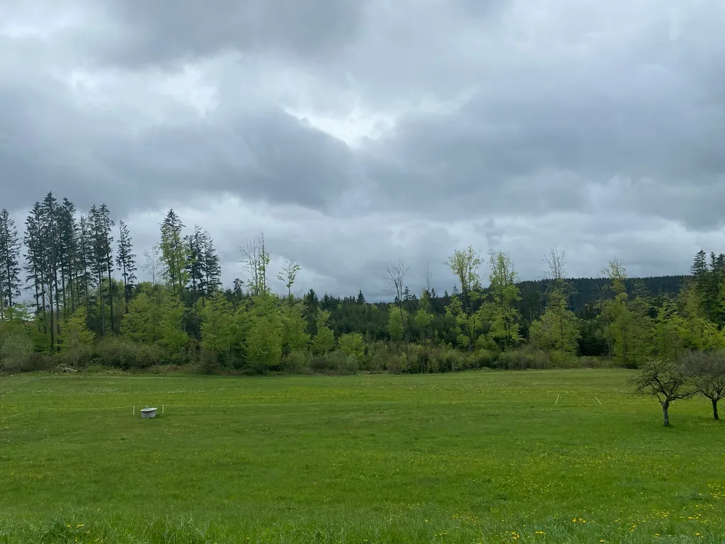 Camping 2 im Waldviertel Hochland