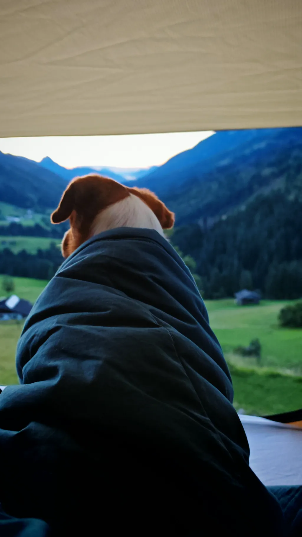 Image by József for spot 3777