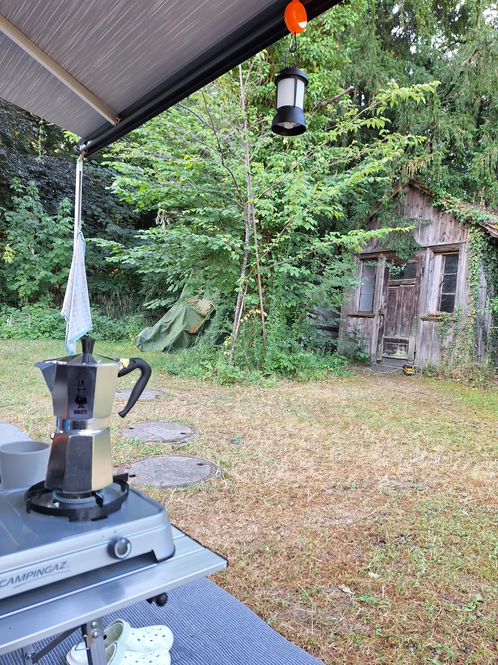 Bild von Alfred für den Spot 470