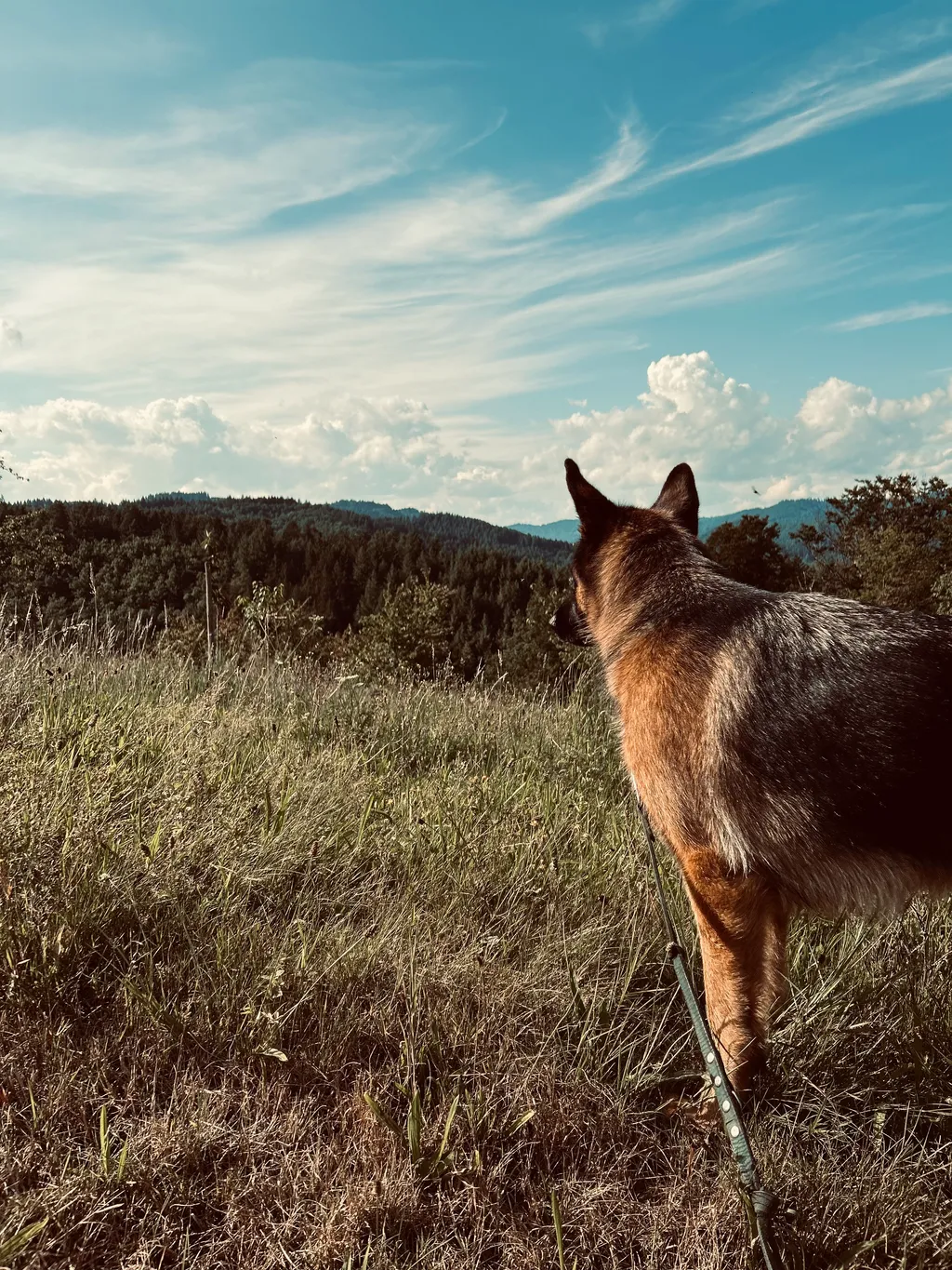 Bild von Kevin für den Spot 1542