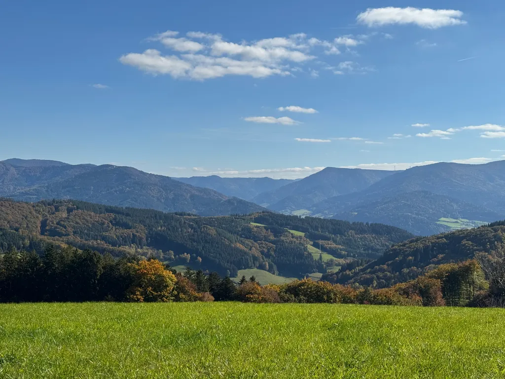 Bild von Horst für den Spot 3033