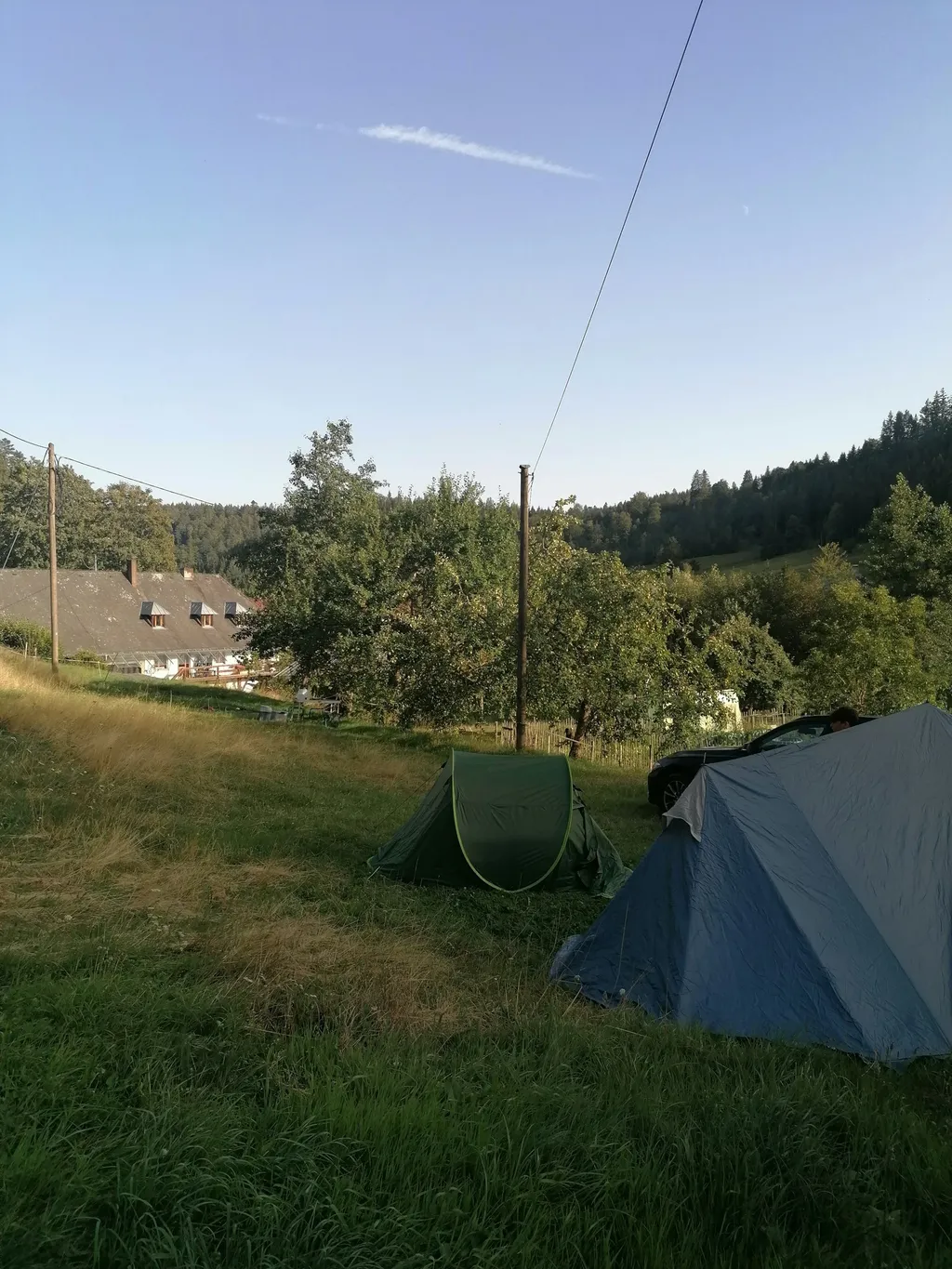 Wiesen zwischen Waldrand und Bach