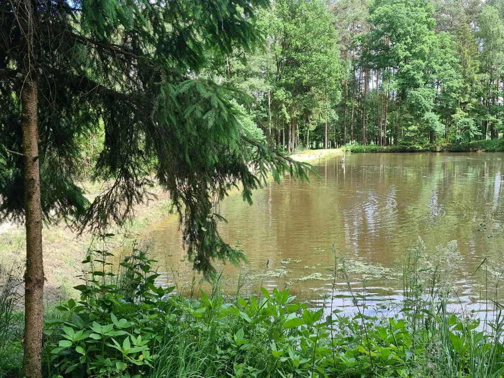 Wildcampen in Franken - nur legal