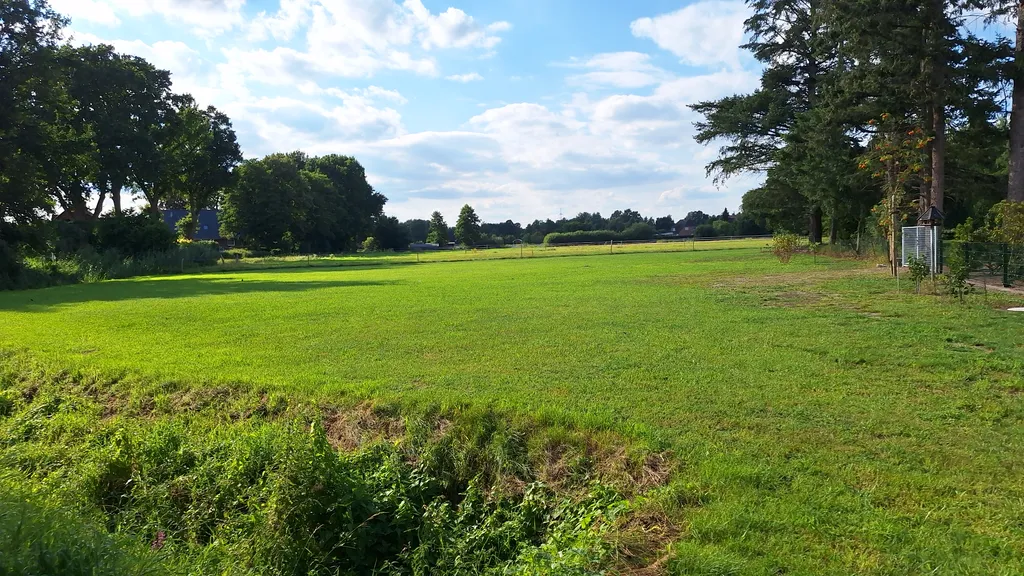 Blick über den Stellplatz