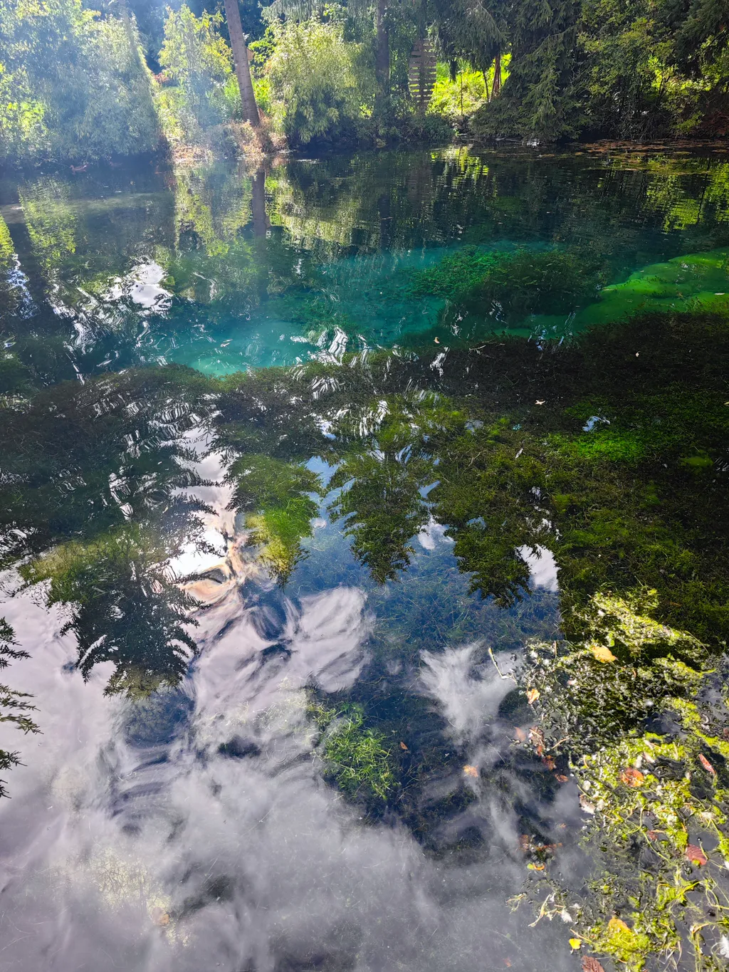 Bild von Karolin für den Spot 3436