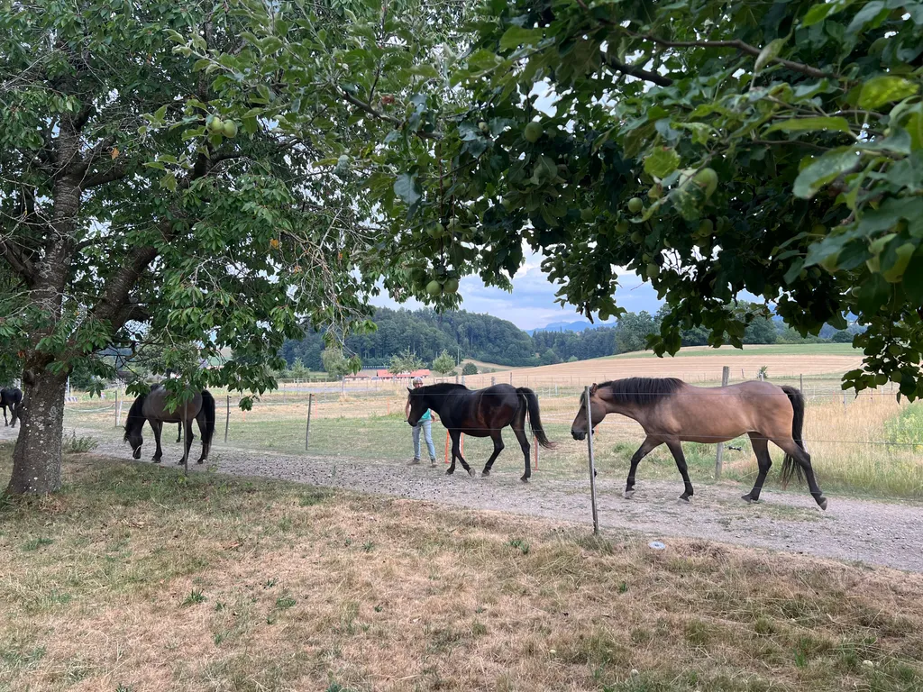 Bild von Sandro für den Spot 992