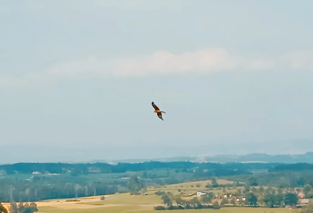 Bild von Pierre für den Spot 1186