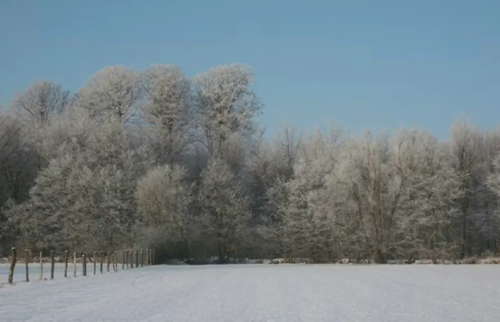 Hinter einem Resthof vorm Wald