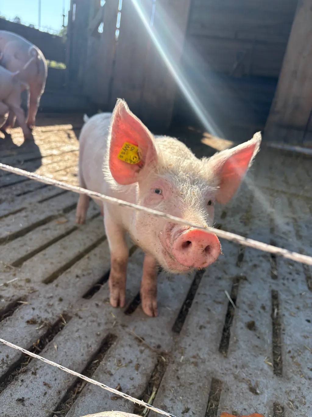 Image de Sabine pour le spot 311