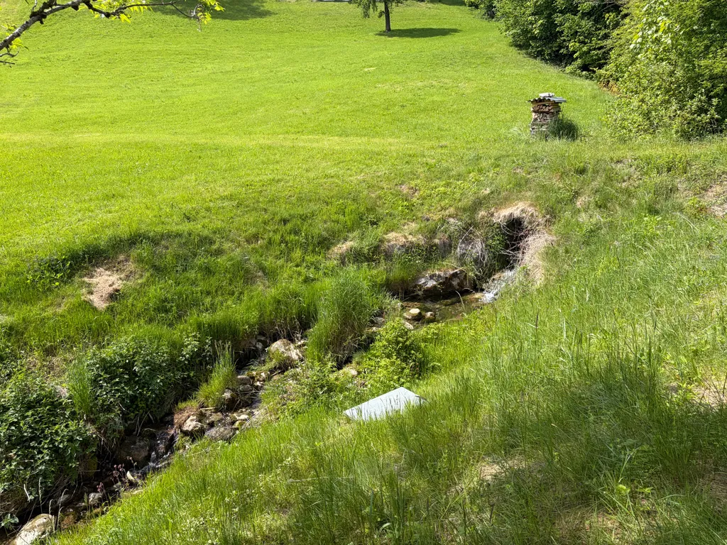 Natur-Oase am Lindenbächle