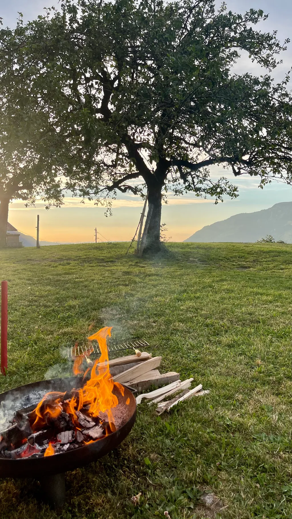 Bild von Axel für den Spot 4362