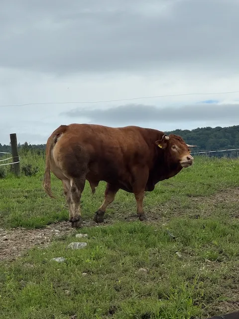 Bild von Stefan für den Spot 745