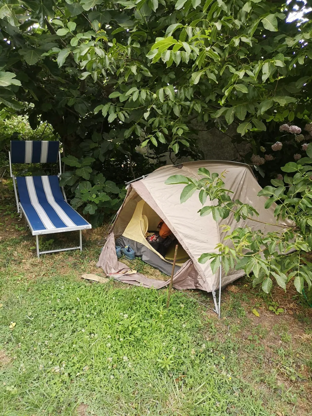 Il Giardino delle Ortensie ┇ Tenda