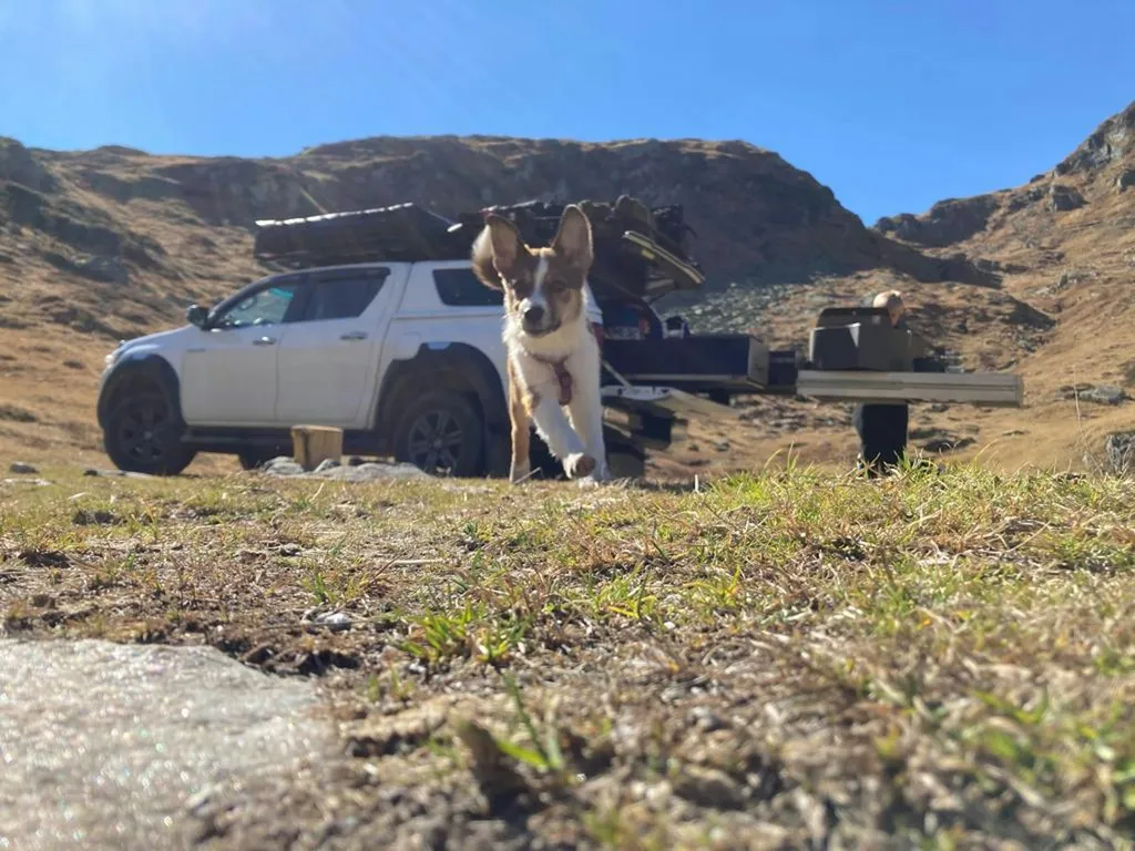 Profilbild von Martina