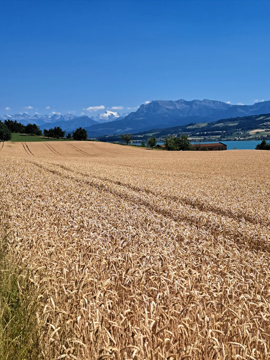 Bild von Fränzi für den Spot 4211