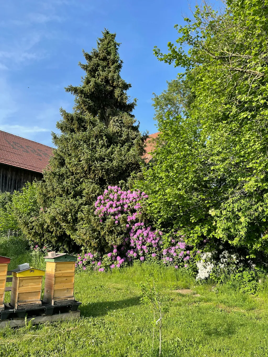 Wildromantik Camp in der Oberpfalz