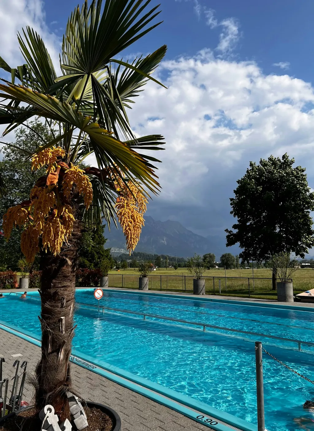 Idyllischer Stellplatz ☀️