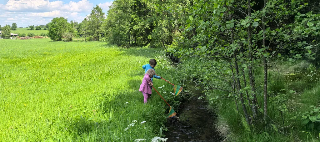 Campen auf der Alm und am Bach
