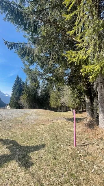 Stellplatz direkt bei der Ibergeregg Passstrasse