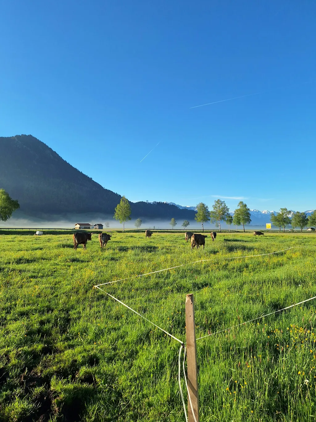 Ruhige Wieseneinfahrt am Bachlauf