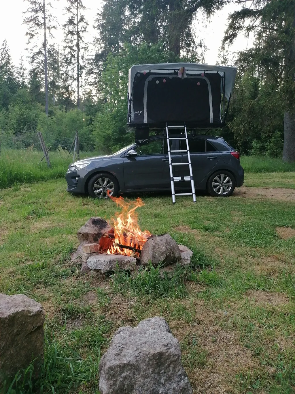 Ruhiger WiesenWaldPlatz