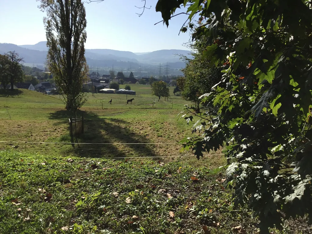 Campen mit Blick auf die Schweiz