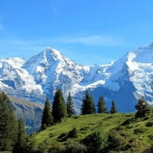 Profilbild von Laura