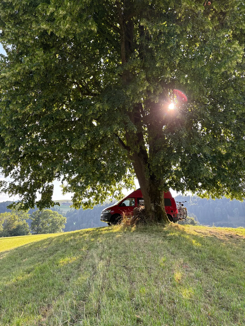 Bei der alten Linde